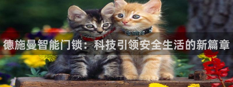 金雅陶瓷年会现场：德施曼智能门锁：科技引领安全生活的新篇章