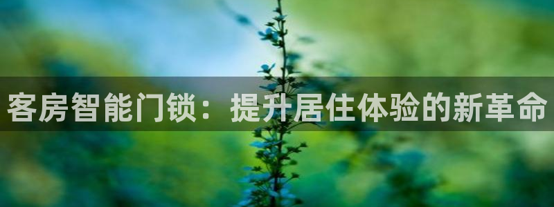 金年会平台游戏：客房智能门锁：提升居住体验的新革命