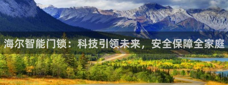 金年会 平台：海尔智能门锁：科技引领未来，安全保障全家庭