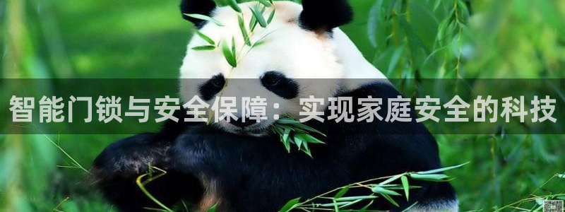 金年会体育娱乐：智能门锁与安全保障：实现家庭安全的科技