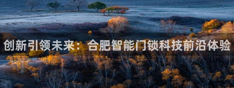 金年会推荐：创新引领未来：合肥智能门锁科技前沿体验