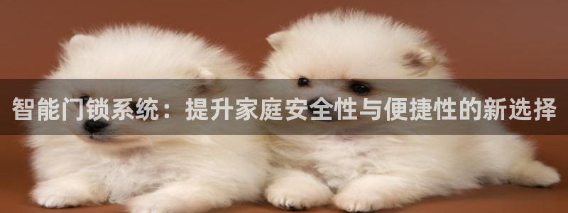 金年会体育娱乐：智能门锁系统：提升家庭安全性与便捷性的新选择
