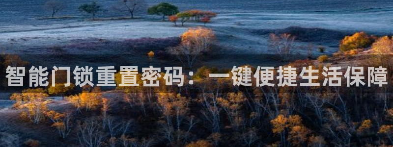 金年会平台包赔：智能门锁重置密码：一键便捷生活保障