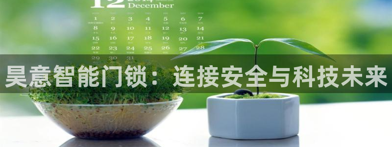 金科年会图片：昊意智能门锁：连接安全与科技未来