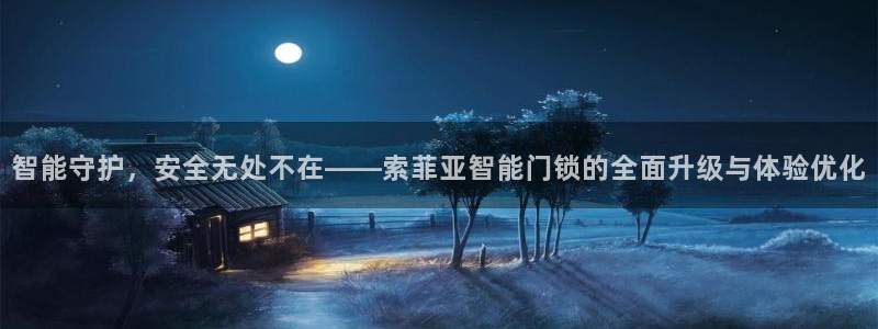 金年会彩票软件：智能守护，安全无处不在——索菲亚智能门锁的全