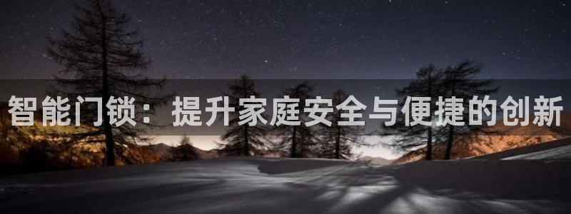 融通金年会：智能门锁：提升家庭安全与便捷的创新