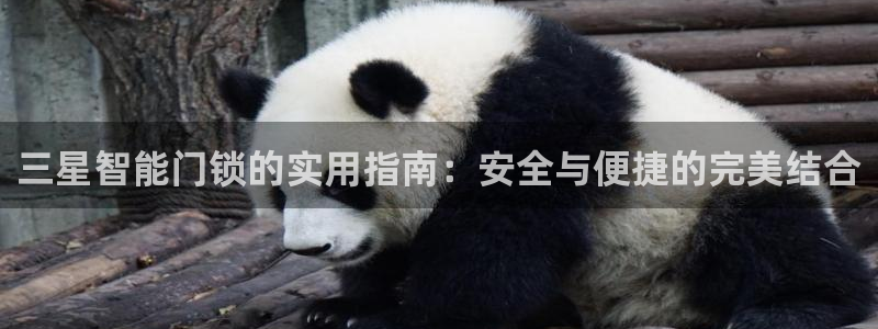 金年会彩票软件：三星智能门锁的实用指南：安全与便捷的完美结合