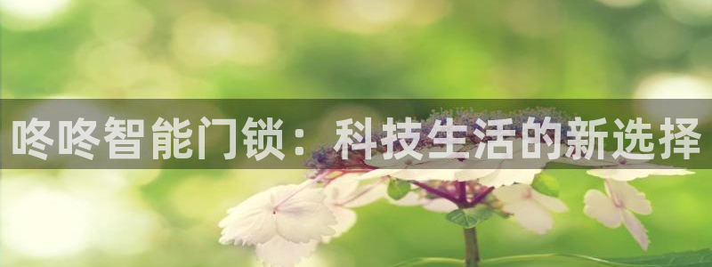 澳门与金年会的关系：咚咚智能门锁：科技生活的新选择