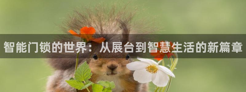 金年会游戏官网：智能门锁的世界：从展台到智慧生活的新篇章