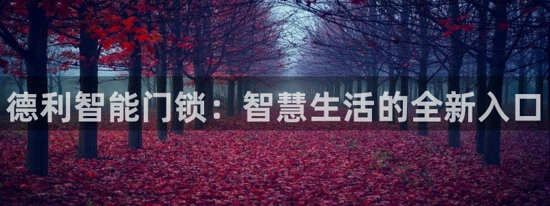 金诺利年会：德利智能门锁：智慧生活的全新入口