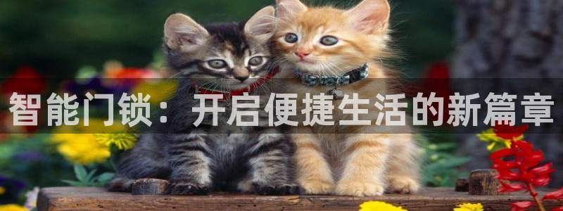 金升年会：智能门锁：开启便捷生活的新篇章