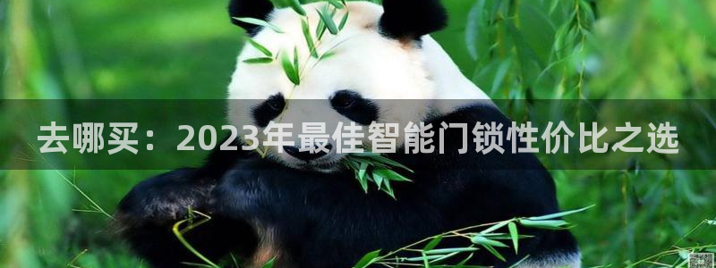 金帆年会2017：去哪买：2023年最佳智能门锁性价比之选