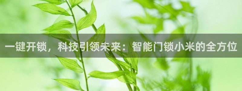 金年会体育苹果下载：一键开锁，科技引领未来：智能门锁小米的全