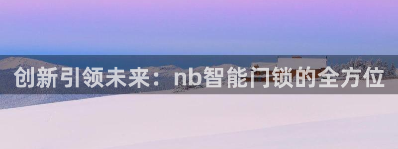 金年会彩票网址下载：创新引领未来：nb智能门锁的全方位