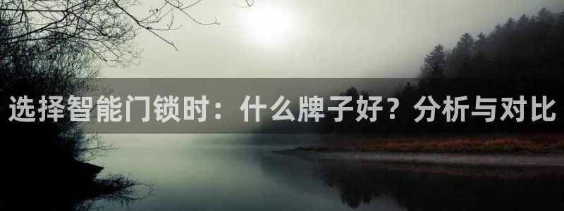 金年会体育平台入口：选择智能门锁时：什么牌子好？分析与对比