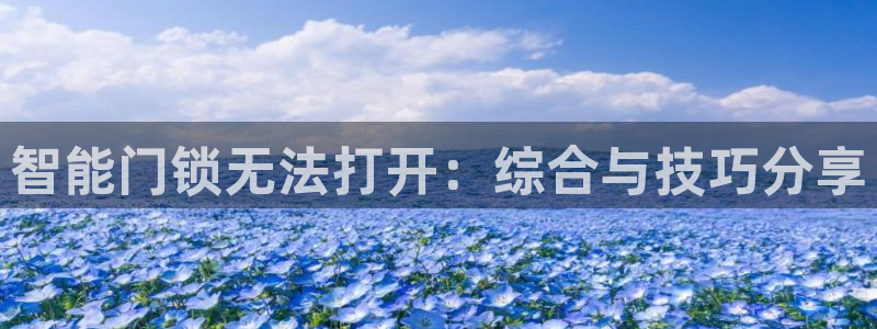 金年会下载：智能门锁无法打开：综合与技巧分享