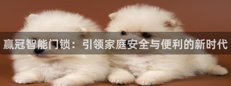 金年会体育官网：赢冠智能门锁：引领家庭安全与便利的新时代