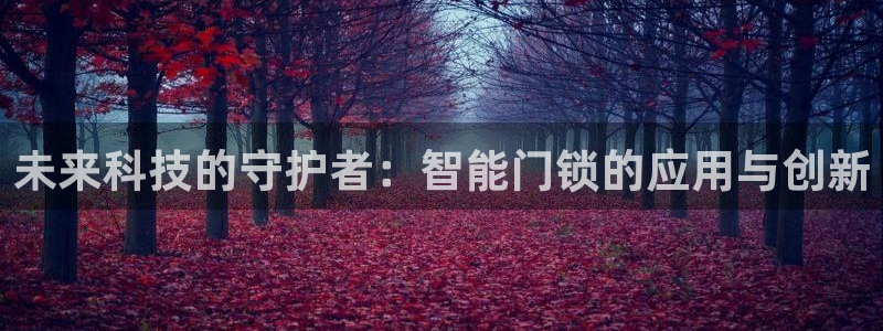 金科年会图片：未来科技的守护者：智能门锁的应用与创新