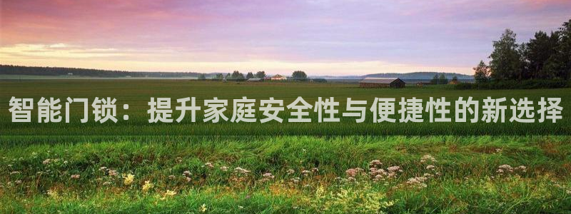 宝金年会：智能门锁：提升家庭安全性与便捷性的新选择