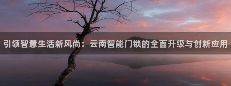 金年会娱乐提现：引领智慧生活新风尚：云南智能门锁的全面升级与