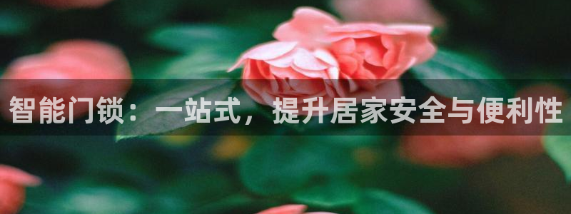 今金年会：智能门锁：一站式，提升居家安全与便利性