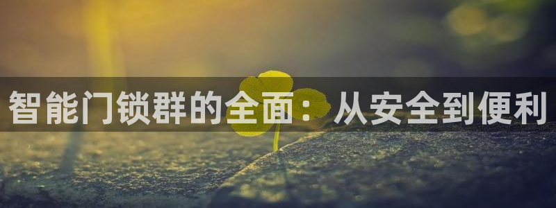 金年会18 28：智能门锁群的全面：从安全到便利