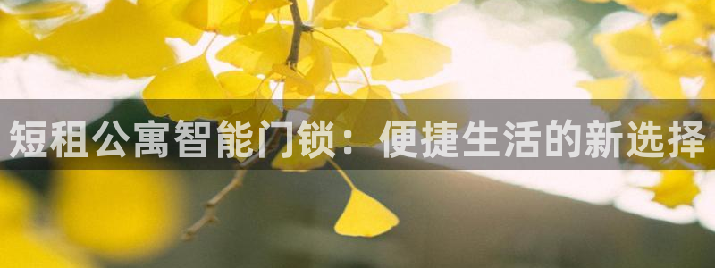 为什么搜索不了金年会：短租公寓智能门锁：便捷生活的新选择