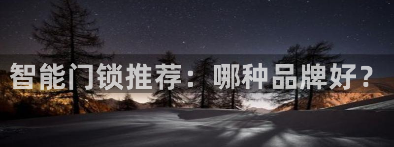 金年会体育平台入口：智能门锁推荐：哪种品牌好？