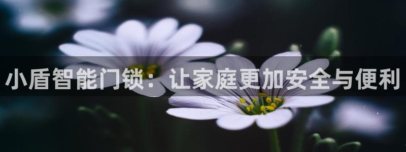金年会最新官网：小盾智能门锁：让家庭更加安全与便利