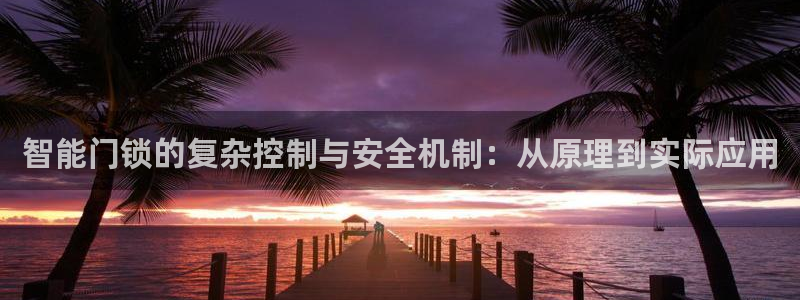 金年会彩金：智能门锁的复杂控制与安全机制：从原理到实际应用