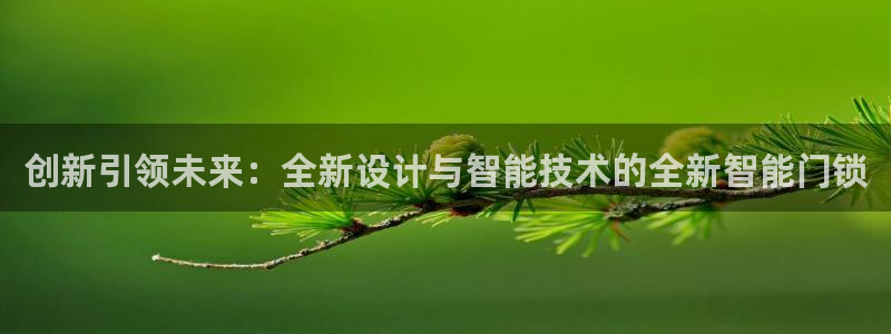 金年会菲律宾：创新引领未来：全新设计与智能技术的全新智能门锁