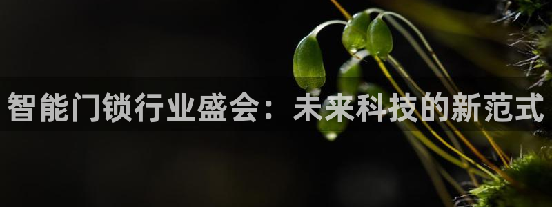 金年会娱乐：智能门锁行业盛会：未来科技的新范式