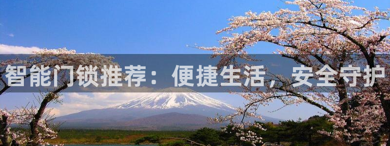 金年会赌博：智能门锁推荐：便捷生活，安全守护