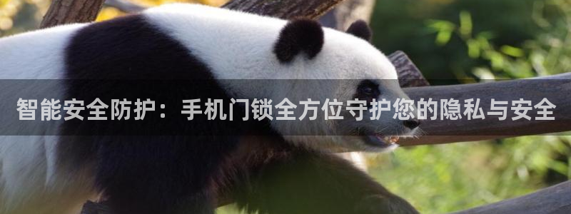 金年会app桌面：智能安全防护：手机门锁全方位守护您的隐私与