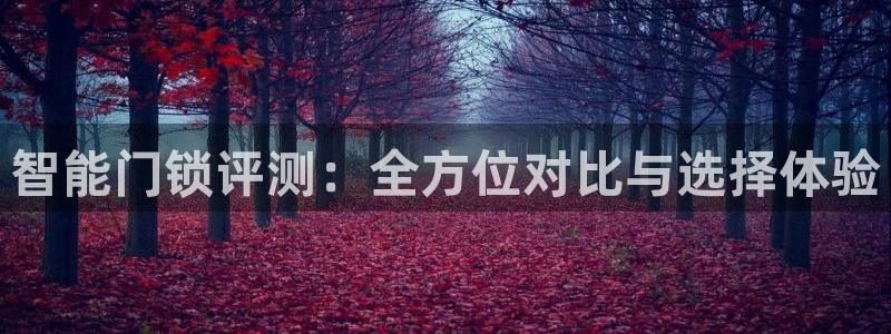 金年会金字招牌在线入口：智能门锁评测：全方位对比与选择体验