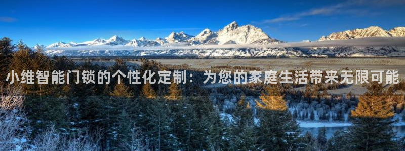 年会金句心得：小维智能门锁的个性化定制：为您的家庭生活带来无