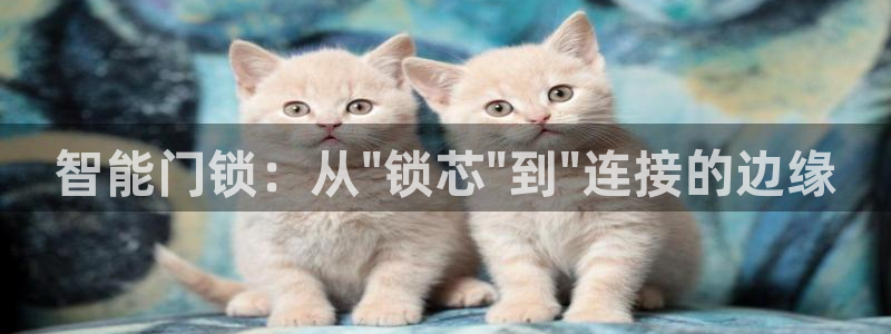 金年会体育app下载：智能门锁：从\